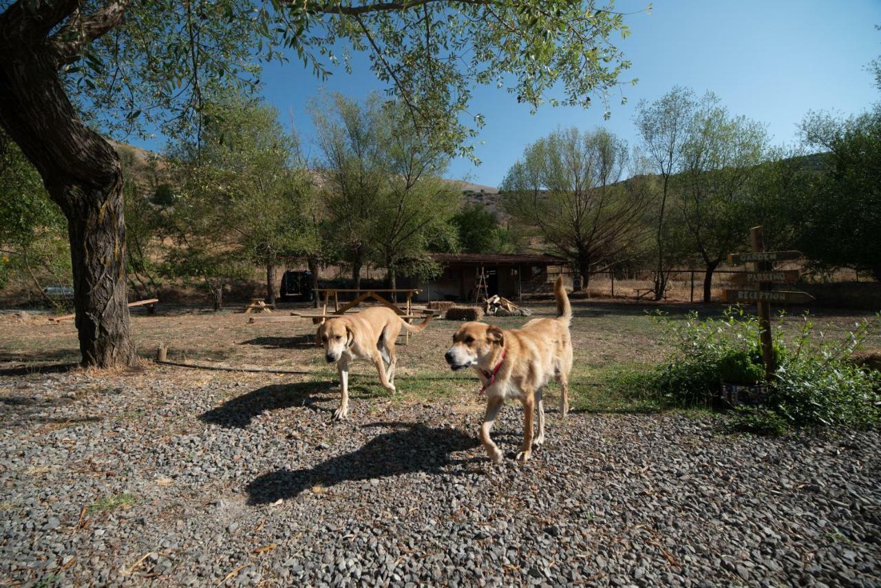 Orias Guesthouse & Farm Калаврита Екстериор снимка